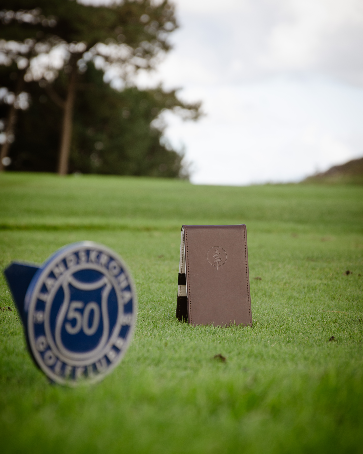 Yardage book cover (Coffee)