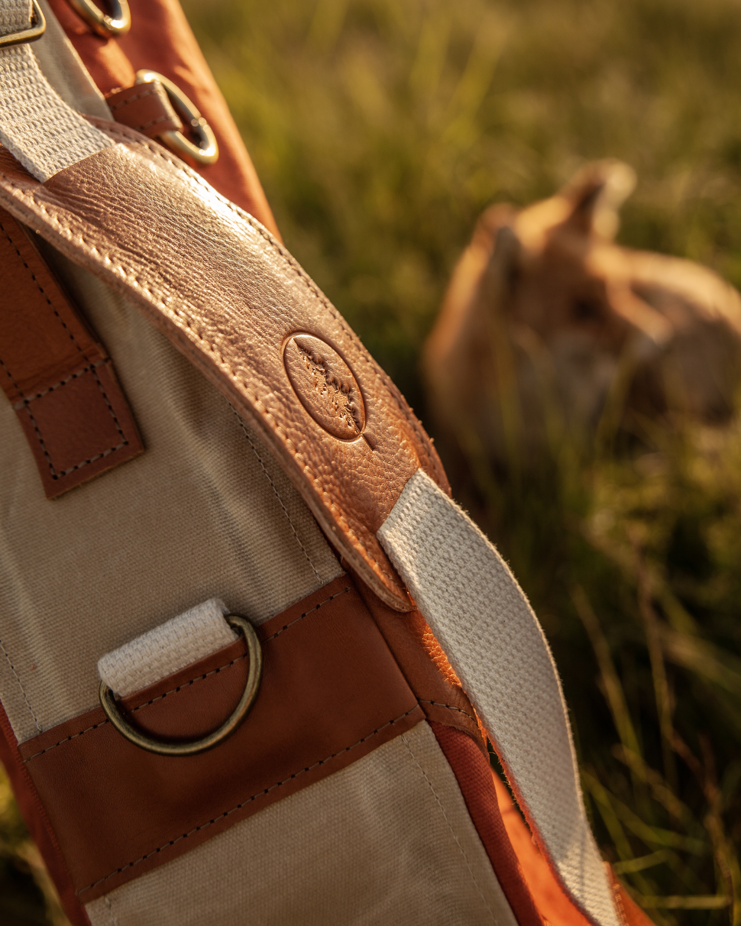 The Fox - Sunday Golf Bag