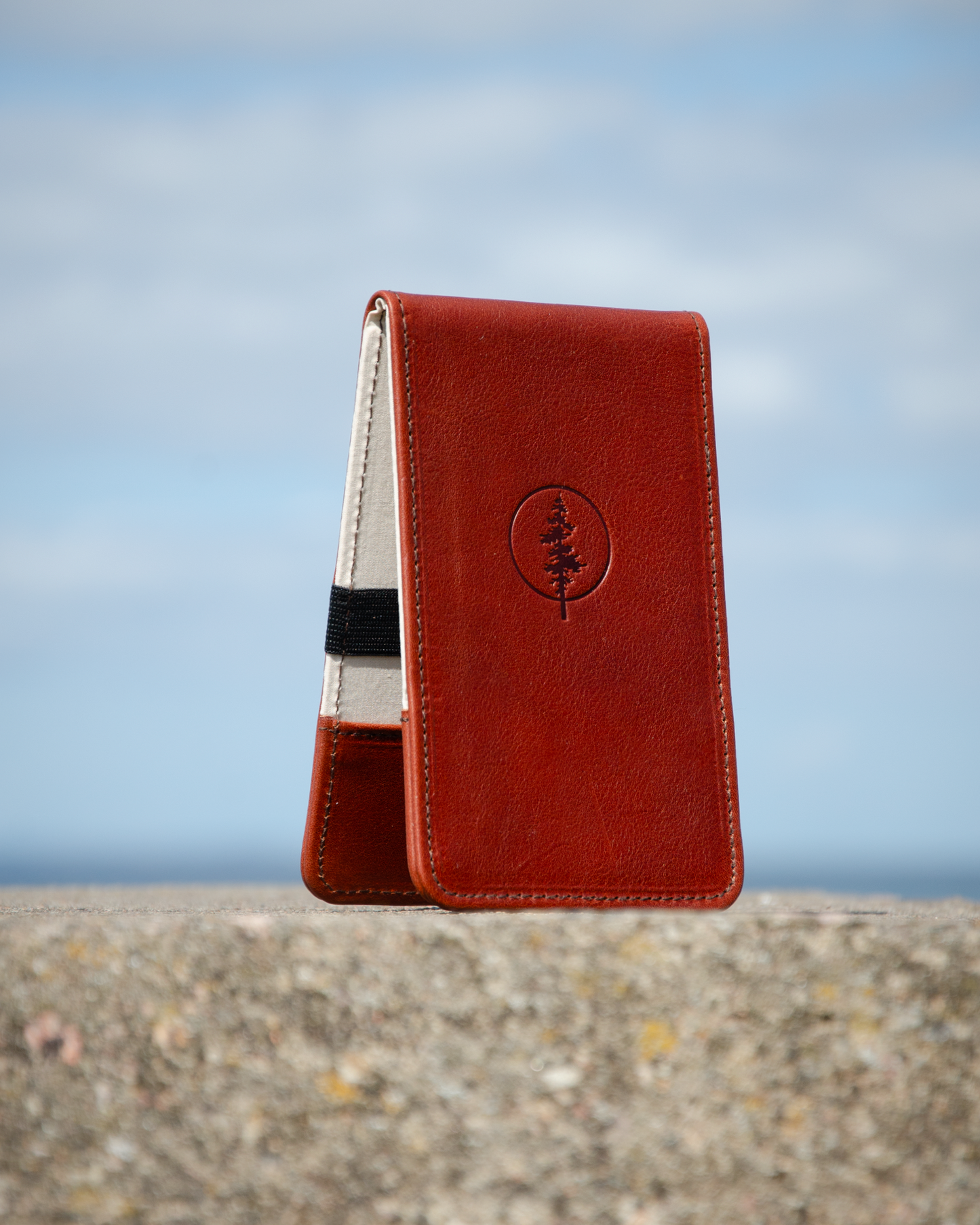 Yardage book cover (Papaya)