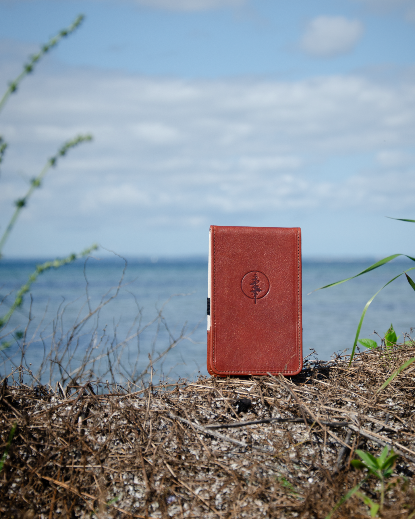 Yardage book cover (Papaya)
