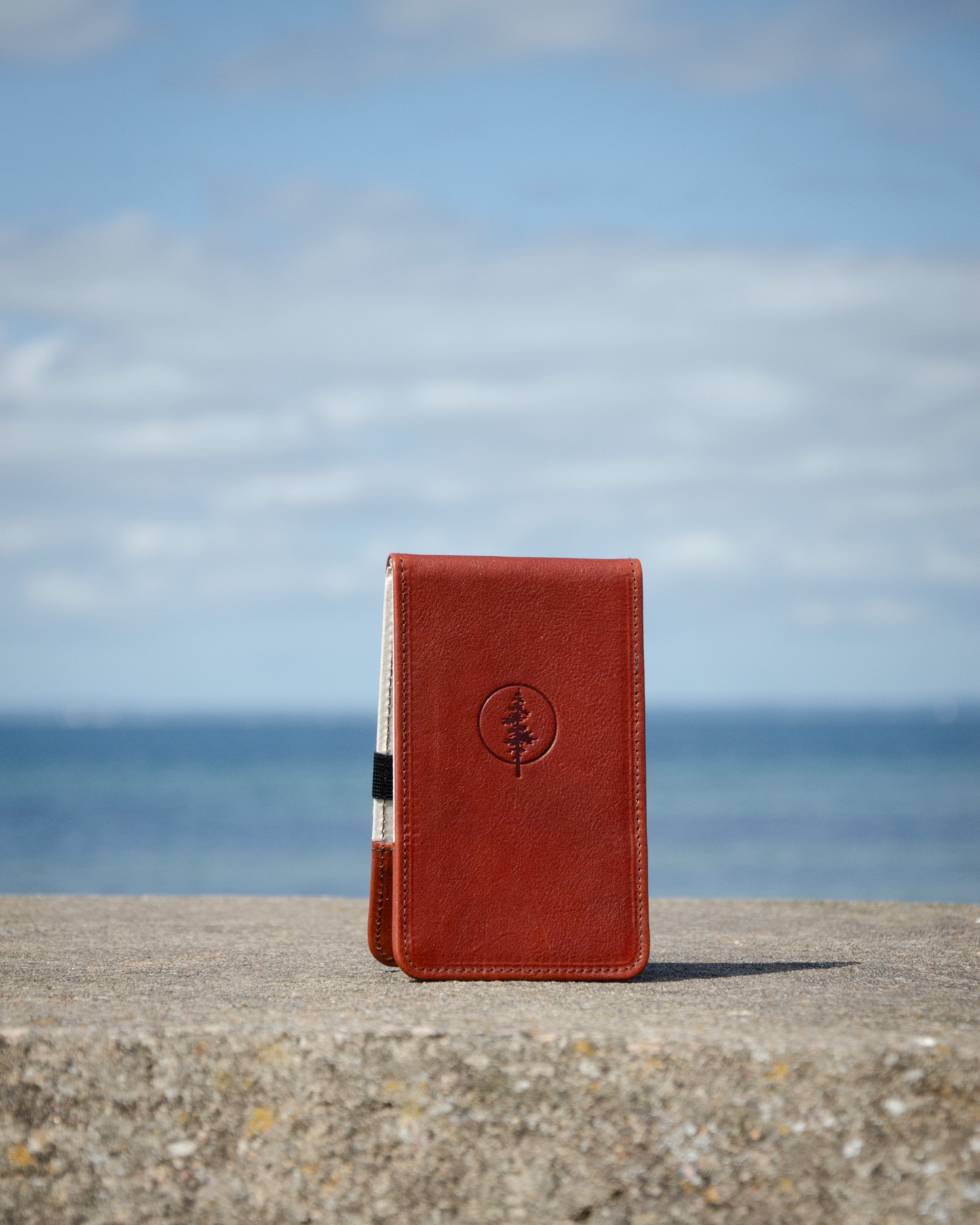 Yardage book cover (Papaya)
