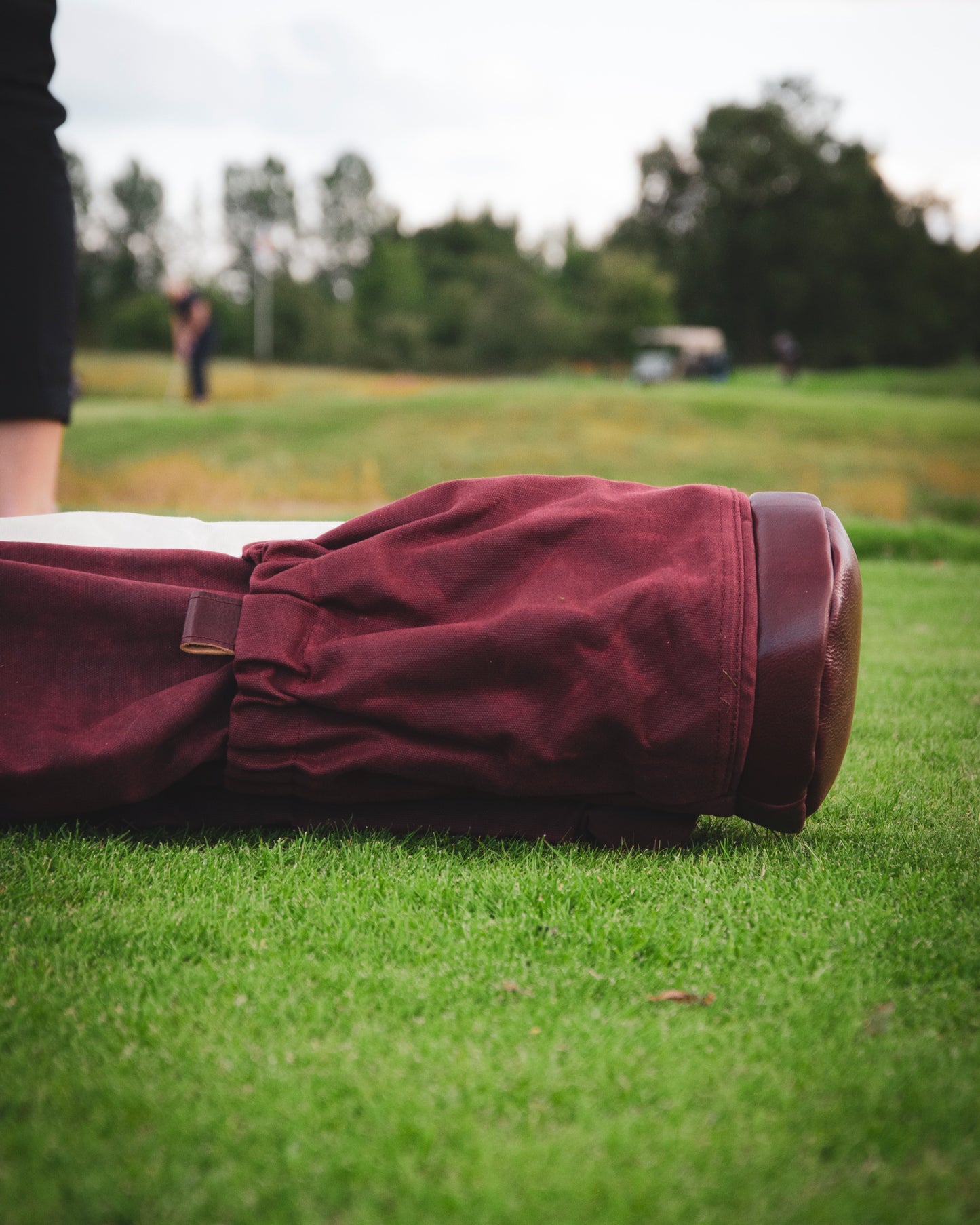 The Orchid - Sunday Golf Bag
